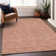 Machine Washable Indoor/Outdoor Chayden ACN1057 Rug