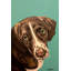 I’m Sleepy 1 Piece Wrapped Canvas Painting-1418469938