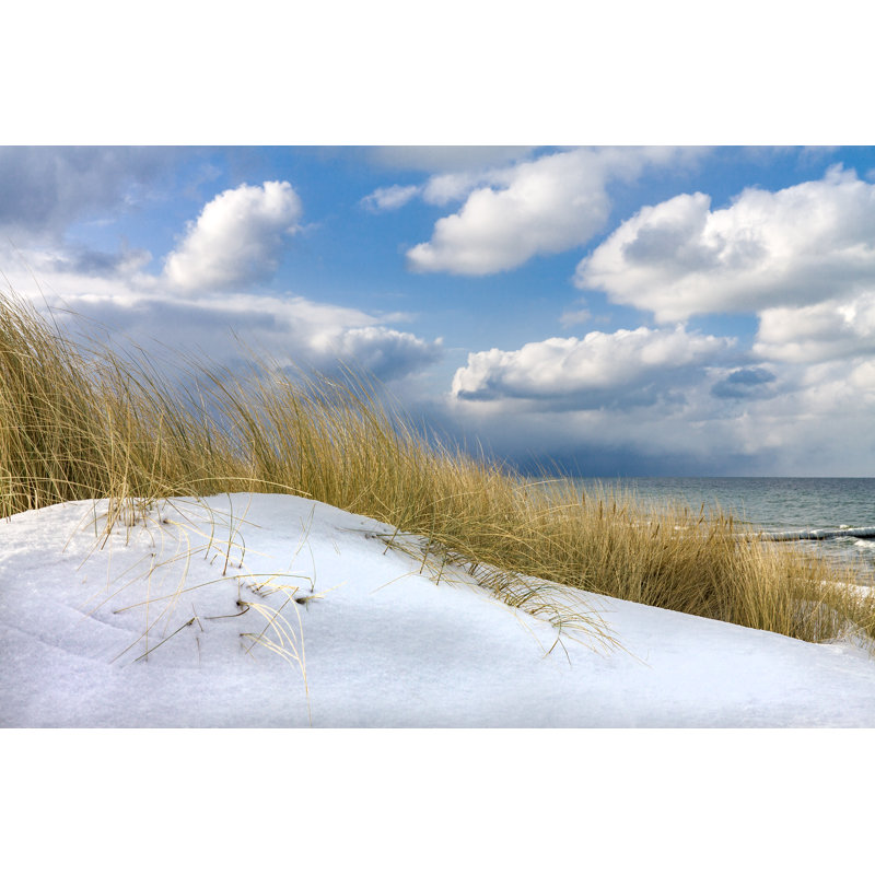 Shore Of Baltic Sea by RicoK69 - Wrapped Canvas Print, 30cm H x 46cm W