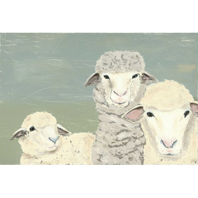 Bashful Sheep II