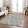 Chayden Area Rug