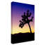 « joshua tree i », reproduction de photo sur toile tendue-30366247