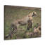 No Frame Print on Canvas