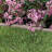 3.75'' H x 35'' W Beige Resin Lawn Edging