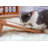 PetPals 16" Scratching Pad