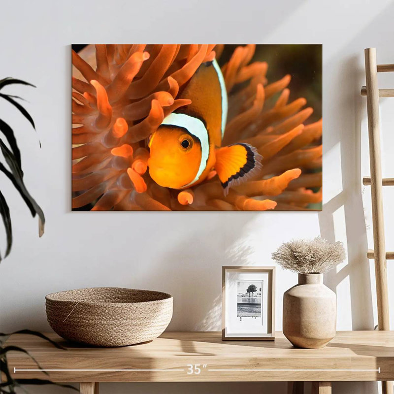 Brampt Orange Clownfish, 16" H x 24" W