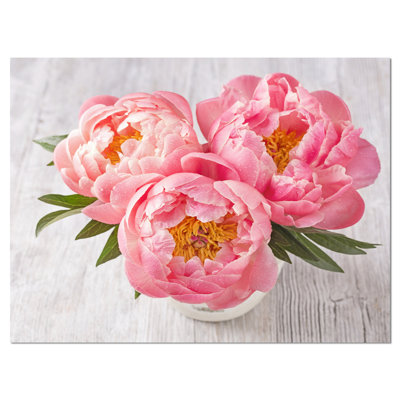 Pivoine sur fond blanc - impression sur toile tendue