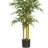 Bamboo Silk Tree-2024237253