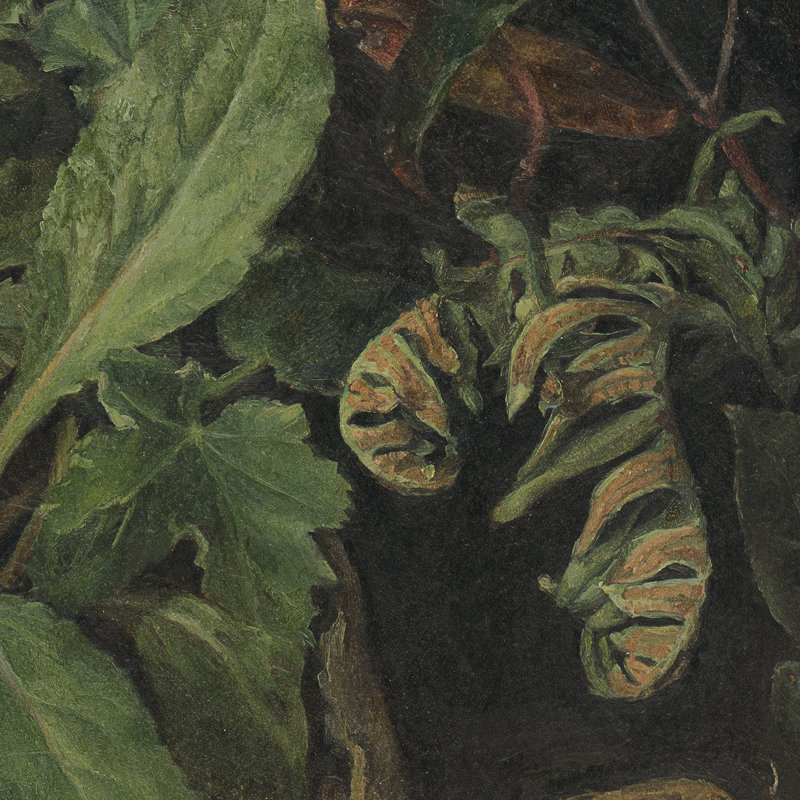 Forest Still Life Print by Sarah Bird, Black
