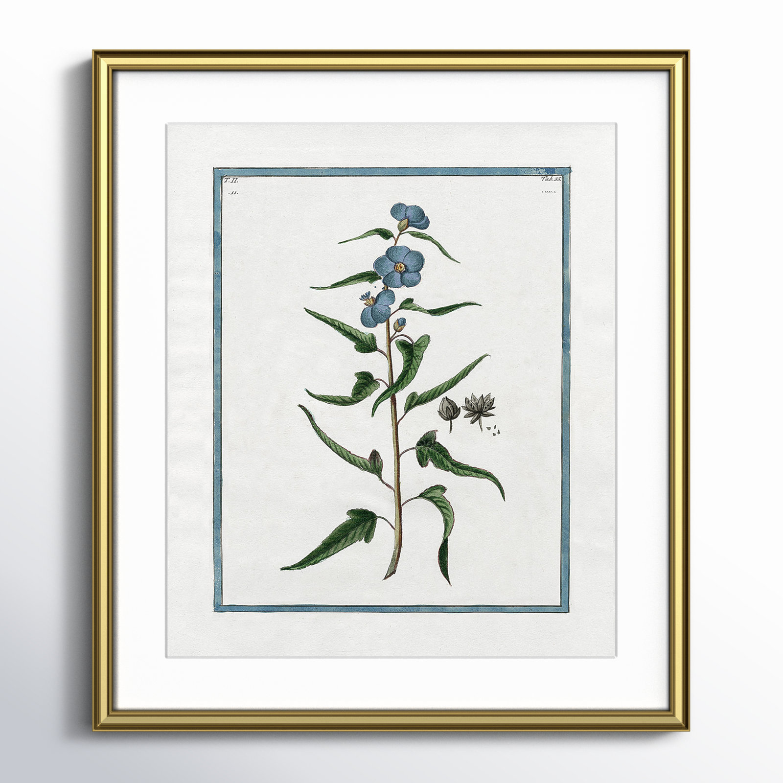 Colombe "Shabby Elegance Botanical I" Print, Gold Framed, 14.25" W x 16.25" H