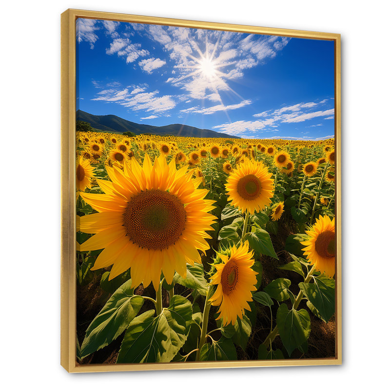 Espagne, champ de tournesols, chaleur de l'intérieur III sur toile, H 32 po x l 24 po x P 1 po, Cadre flottant doré