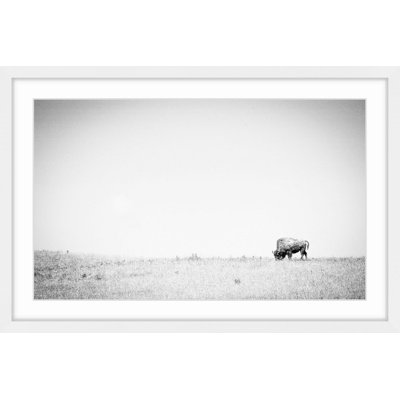 «Distant Grazing» par Marmont Hill - reproduction de cadre photo