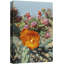 «Cactus Flowers Nature Wilderness» sur-99543417