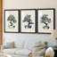 Indigo Bonsai I - reproduction sur mesure encadrée de qualité supérieure - 3 pièces-673430925-673431027