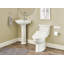 Elongated Toilet Seat Bidet