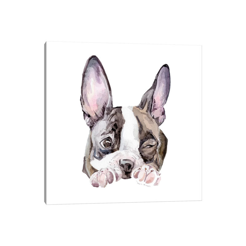 Winking Boston Terrier 1 Piece Wrapped Canvas Painting, 66.04 cm H x 66.04 cm W x 1.91 cm D