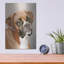 «Boxer» par Janet Pidoux-1553116451