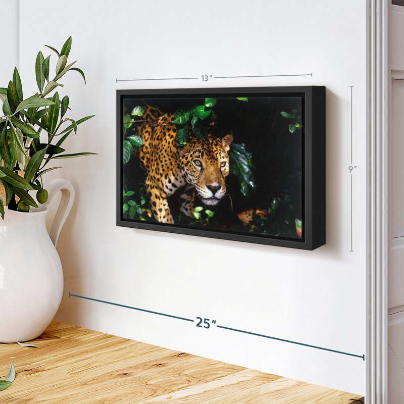 Animal «Rainforest Jaguar Wall Art», H 9 po x l 13 po