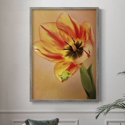 Hanging On VI Framed Print - Solid Wood