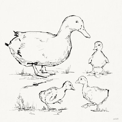 «Duck Delight II» par Anne Tavoletti