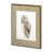 Owl I selected