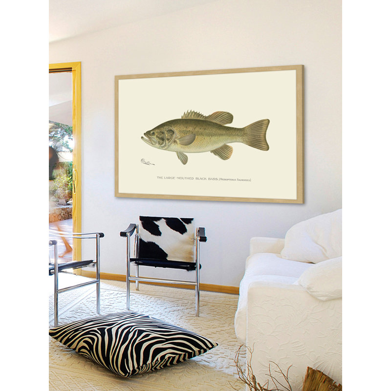 «Large Black Bass», reproduction encadrée, H 20 po x l 30 po x P 1,5 po