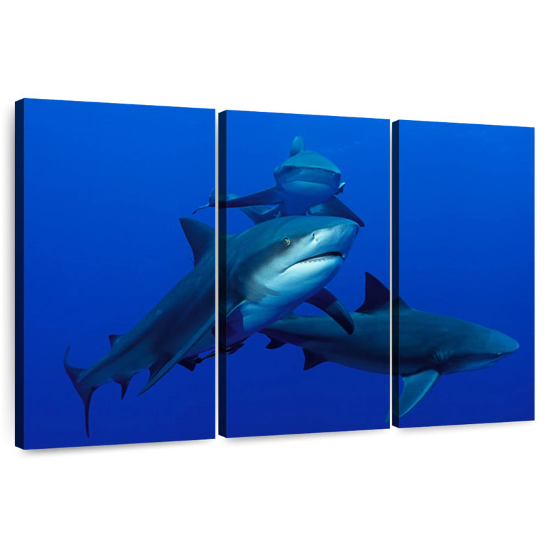 Brampt Triple Sharks, 36" H x 57" W