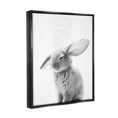 " Bunny Bathroom Splash "