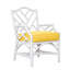 Chippendale Outdoor Dining Armchair-14194555