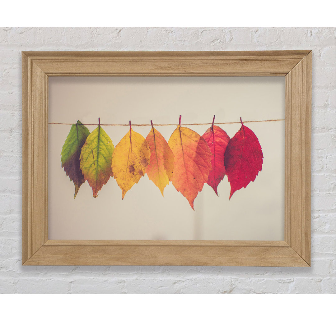 Summer To Spring Leaves - Einzelne Bilderrahmen Kunstdrucke