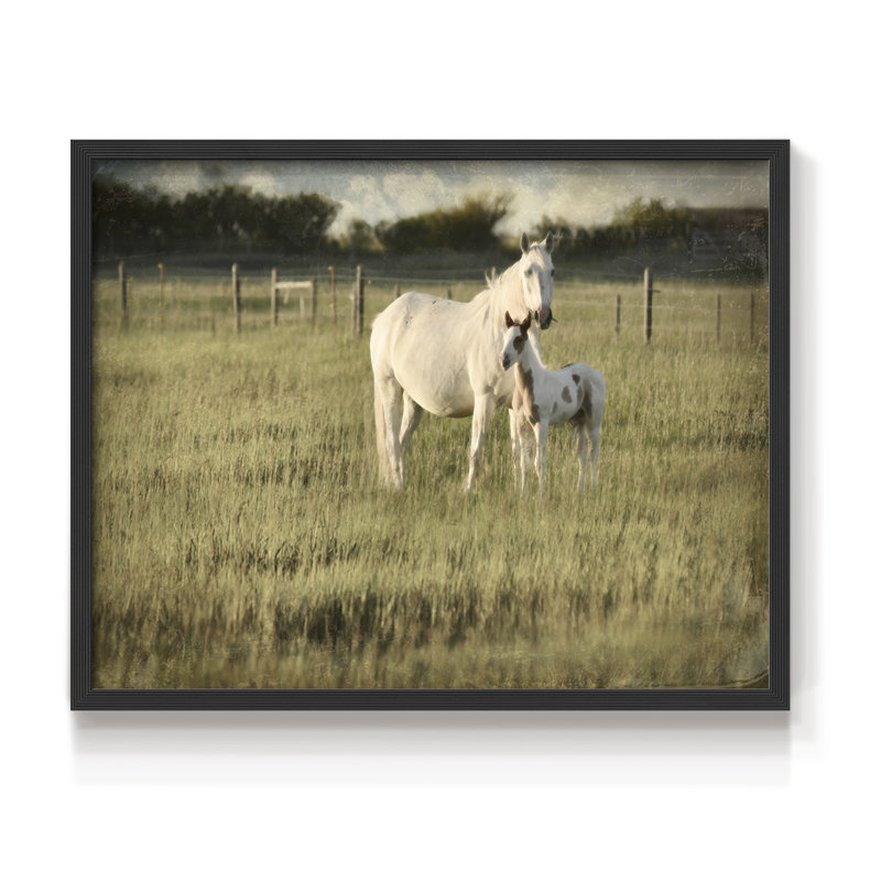 Mare and Colt -Framed Print - Restickable, Noir, noir, noir, noir, H 22 po x l 28 po