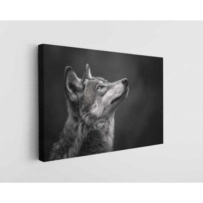 Reproduction sur toile de haute qualité, noir et blanc, d'un loup, H 12 po x l 18 po