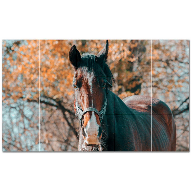 Photo de cheval 4,25 x 4,25