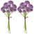 Purple is out of stock