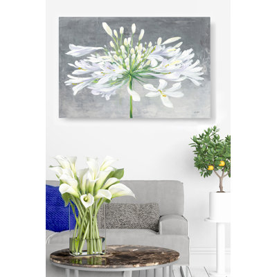 Flowers Cleome, Green, White, Yellow, On Grey, Floral, Soft