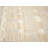 Multicolored Modern 8X10 Oriental Area Rug