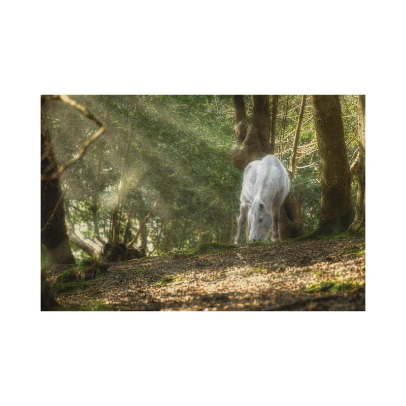 Mystical Pony by David Gardiner - Print on Canvas, 66.04 cm H x 45.72 cm W x 3.175 cm D, Wrapped Canvas