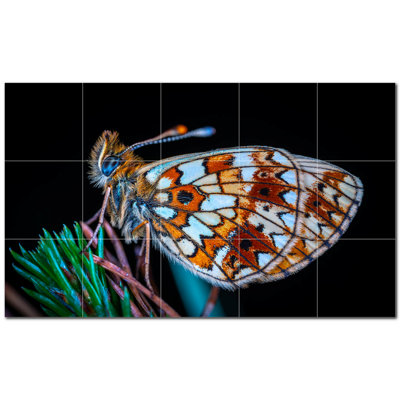 Butterfly Photo 4.25'' x 4.25'' Satin Ceramic Decorative Mural