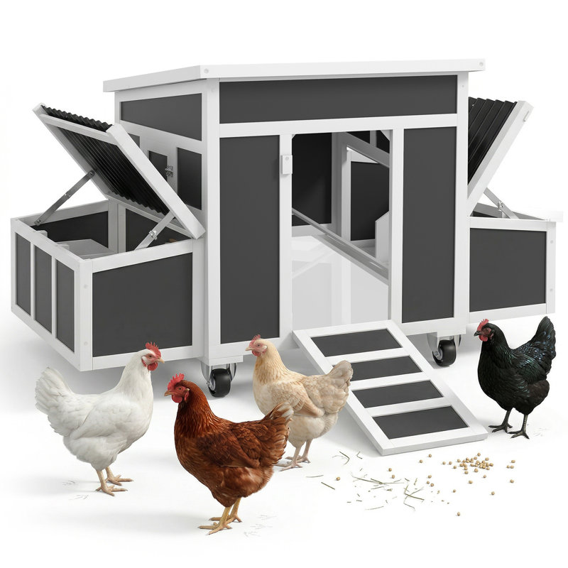 Poulaillers spacieux, ferme en bois et plastique portable