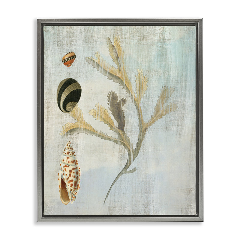 Cadre flottant mixte coquillages et corail, design par Susan Arnot, H 31 po x l 25 po, Cadre flottant gris lustré