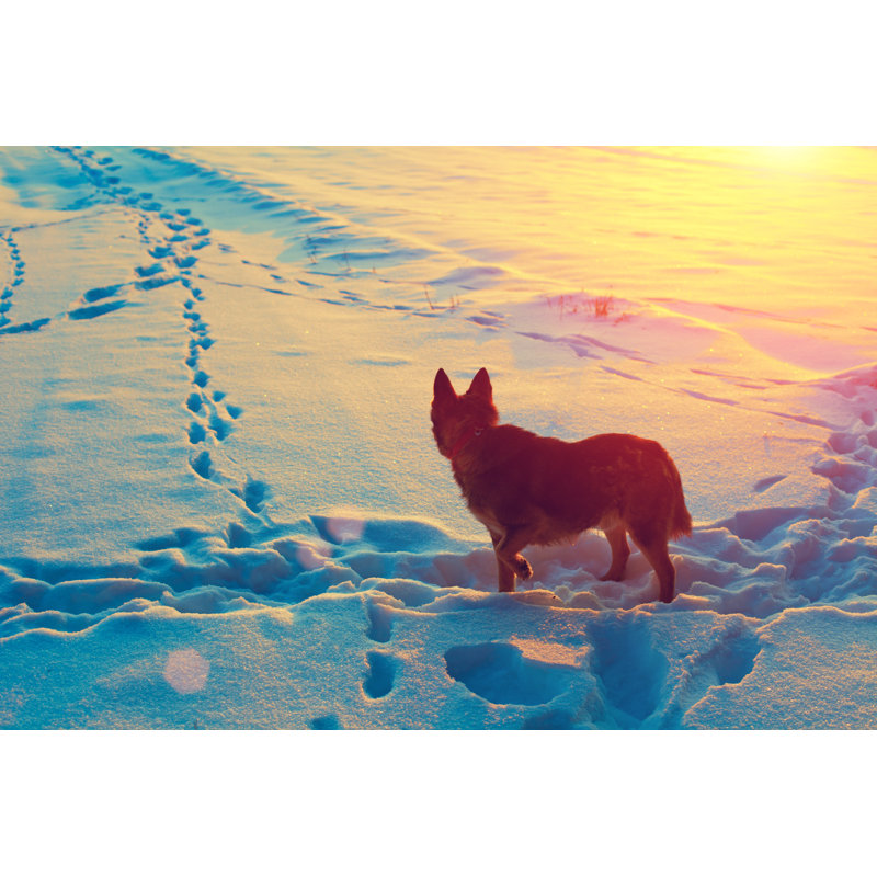 Byerly Dog - Wrapped Canvas Print, 20cm H x 30cm W x 3.8cm D