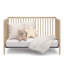 Teddi 5-In-1 Convertible Crib-98727687