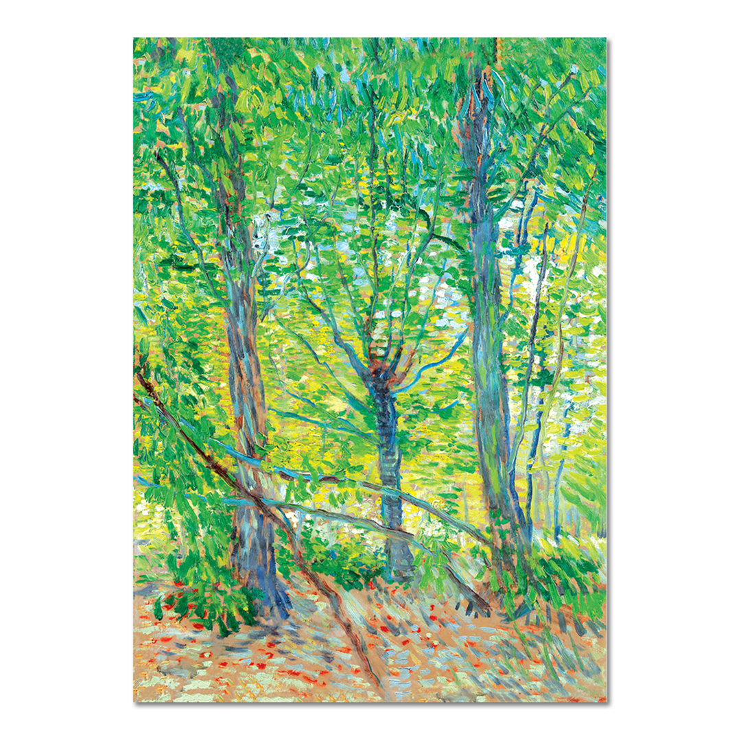 Kunstdruck Trees von Vincent Van Gogh