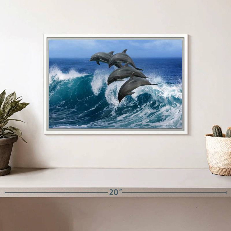 Dauphins à Hawaï, Cadre flottant blanc, 13 po x 9 po