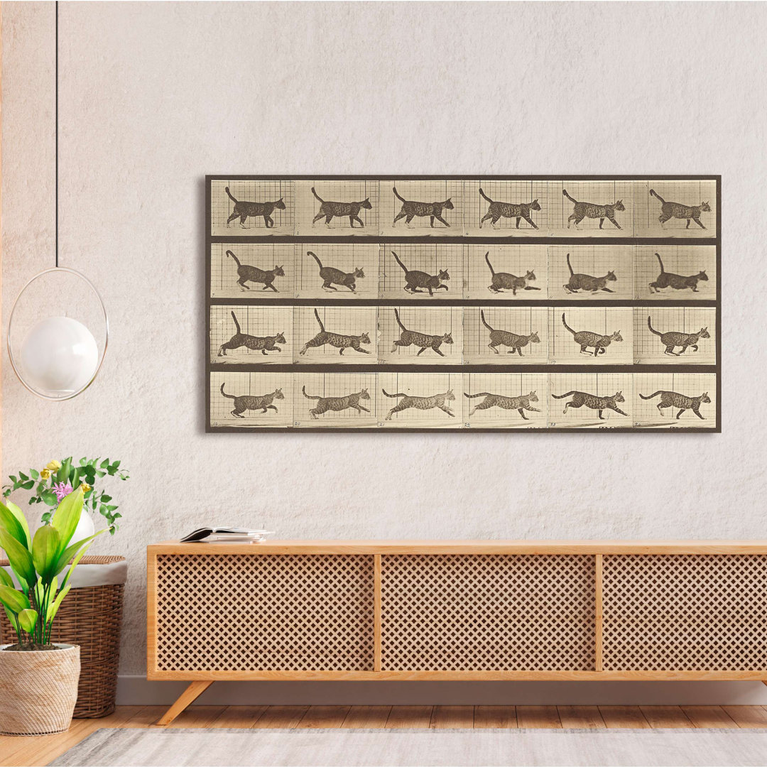 Animal Locomotion: Eine Katze von Eadweard Muybridge - Leinwanddruck - Wrapped Canvas Print