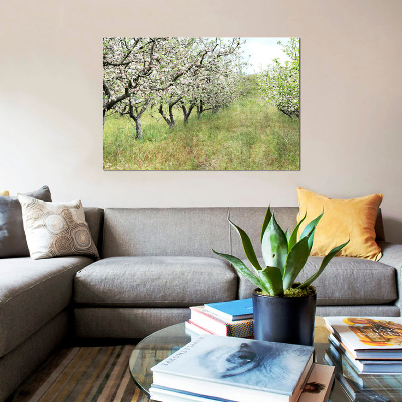 " Apple Orchard " by Lupen Grainne, Black Framed Canvas, No Mat, 18" H x 26" W x 1.5" D