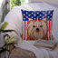  Coussin 14 "American Flag