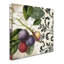 «Les Fruits Jardin III» par Jadaya, impression sur toile tendue-20098406