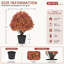 Arbre en pot 24 po-52325371