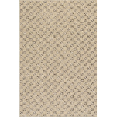  Fiorenna Modern Checkered Rug